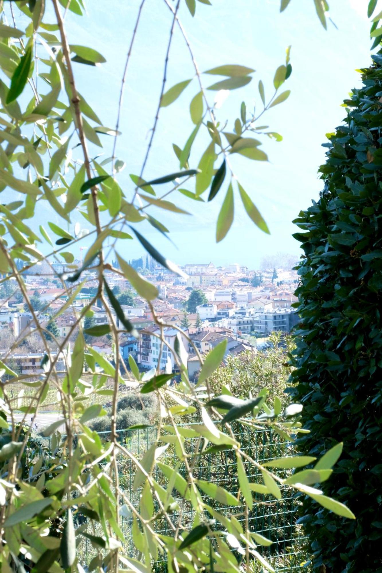 Casa Segantini - Panorama Pool Apartment Gavazzo Nuova Bagian luar foto