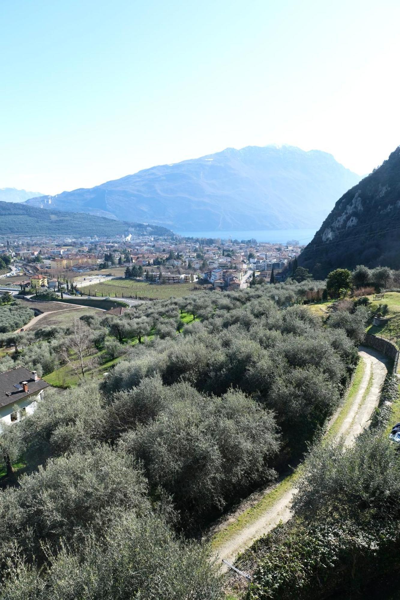 Casa Segantini - Panorama Pool Apartment Gavazzo Nuova Bagian luar foto
